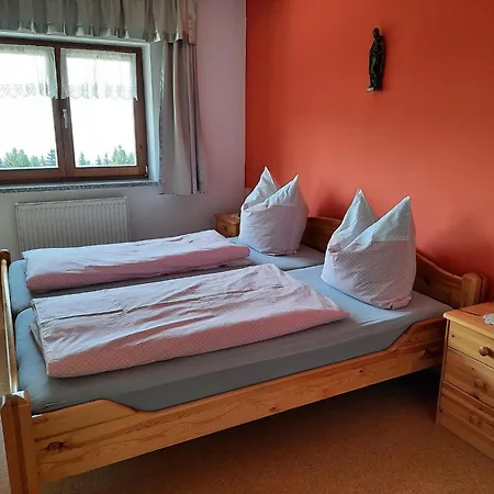 In Near Bavarian Forest Tatil Evi *
