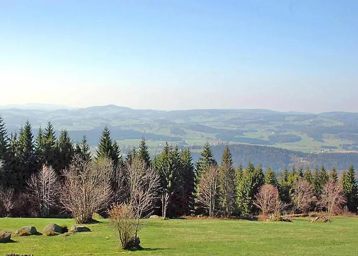 Prázdninový dům In Near Bavarian Forest *