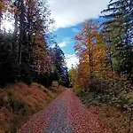 In Near Bavarian Forest בית נופש *