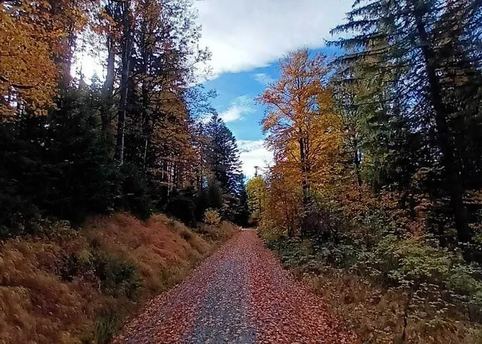 In Near Bavarian Forest 度假居 *